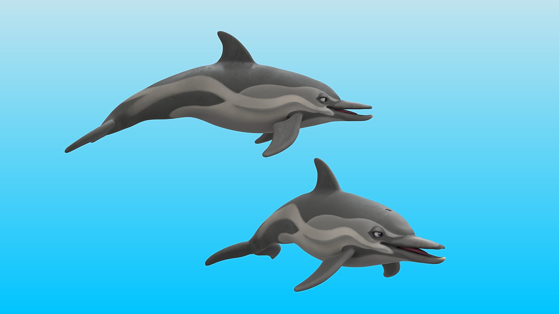common dolphin 3D model for sale on Sketchfab